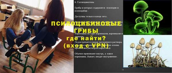 соль ск Аркадак