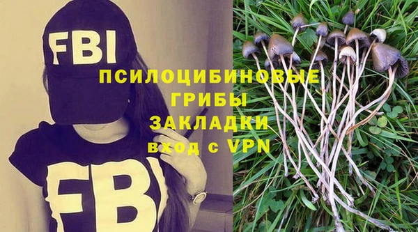 дурь Армянск